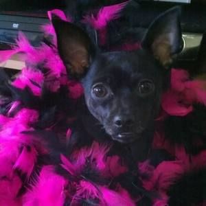 Meet your Posher, Gina